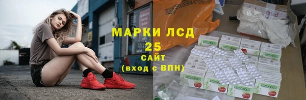 PSILOCYBIN Лабытнанги