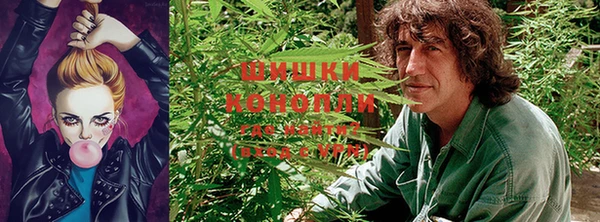 круглые Ладушкин