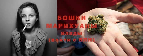 PSILOCYBIN Лабытнанги