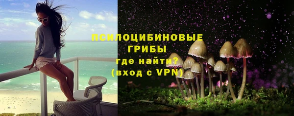 бутират Лагань
