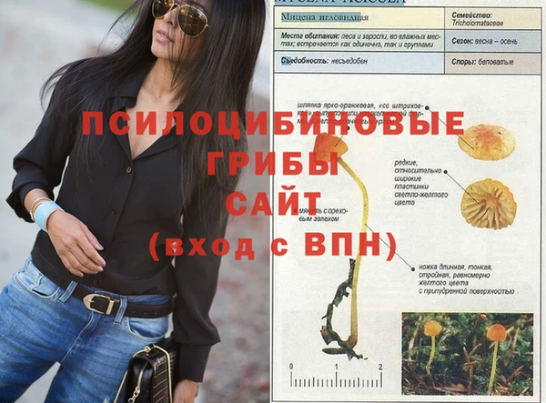 круглые Ладушкин