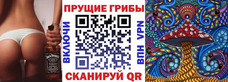Псилоцибиновые грибы мицелий  Купить где  Карасук 