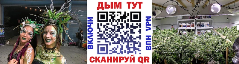 Шишки марихуана LSD WEED Купить закладки Карасук